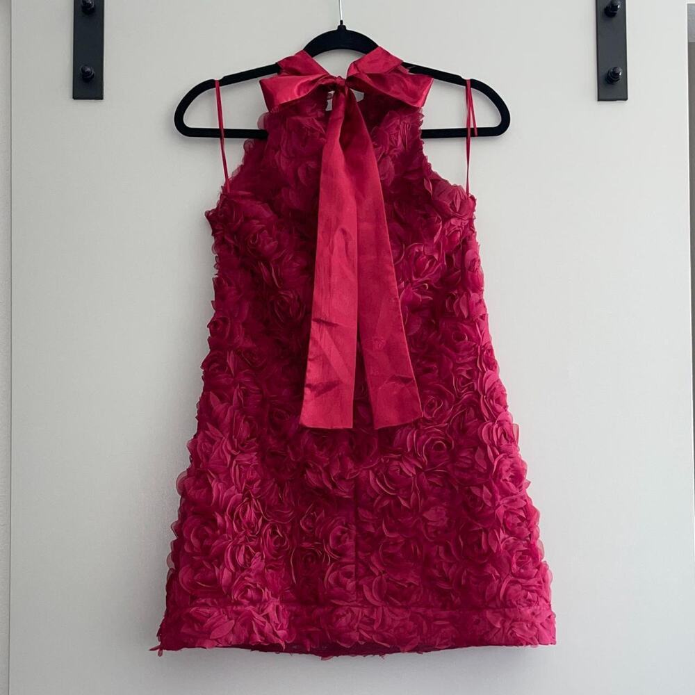 Red Roses Dress - Picture 3 of 5